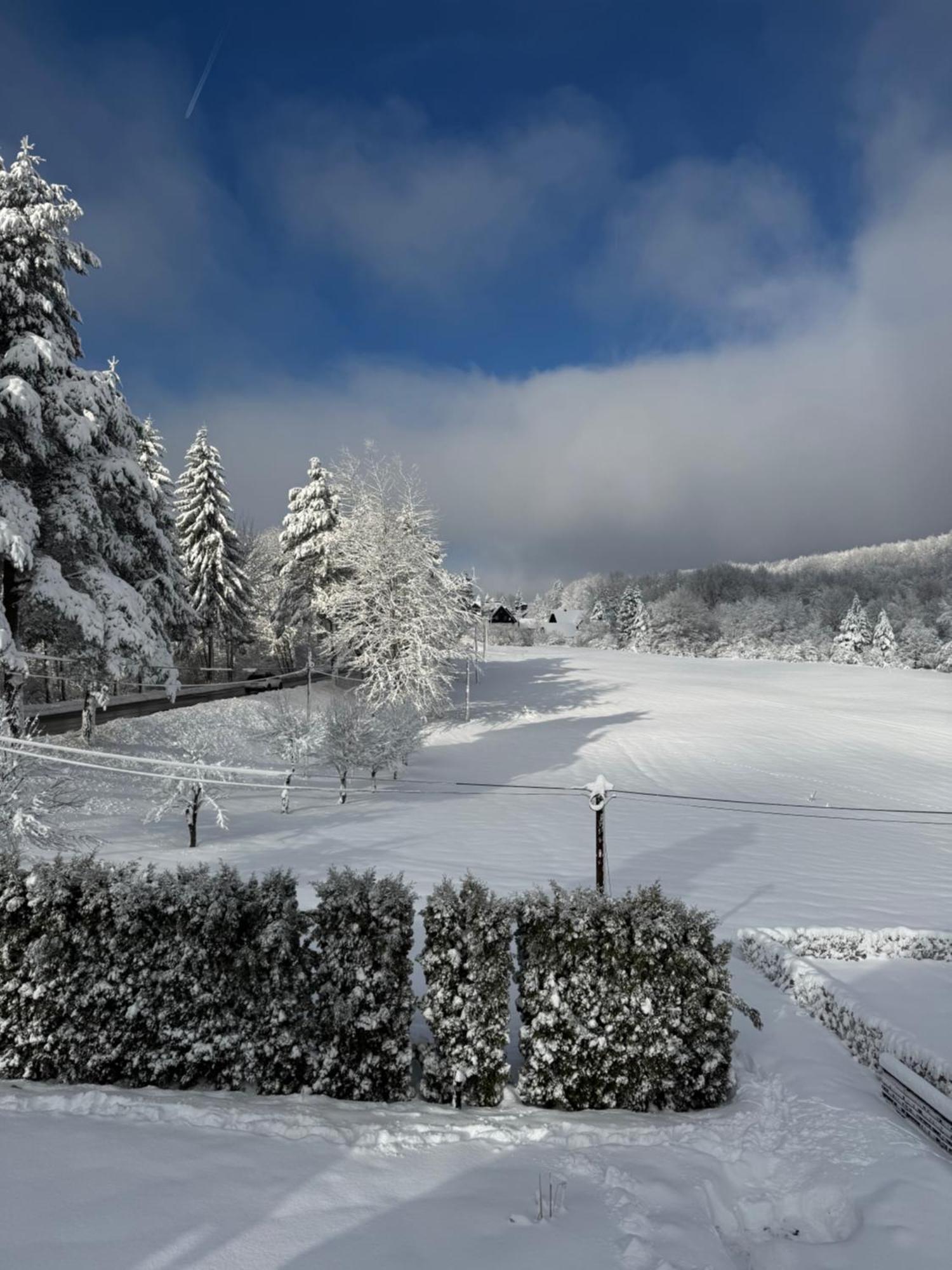 Plitvička Jezera B＆B ミレニアム ハウス Bed & Breakfast エクステリア 写真
